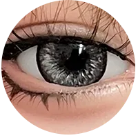 22.webp
